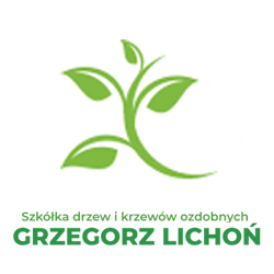 Grzegorz Lichoń Szkółka 