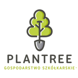 Plantree Patryk Szewczyk